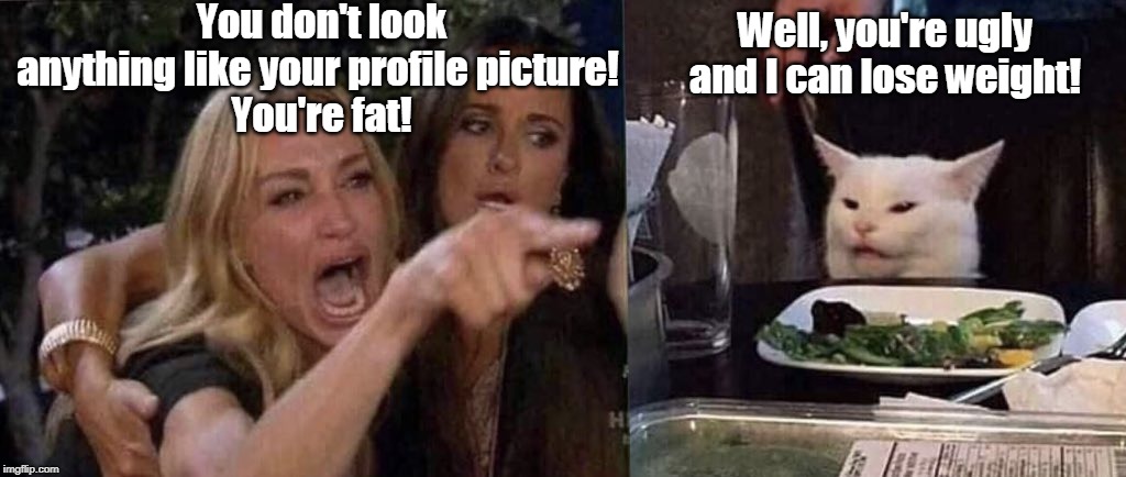 Oh, the ills of online dating... | You don't look anything like your profile picture! 
You're fat! Well, you're ugly and I can lose weight! | image tagged in woman yelling at cat,online dating | made w/ Imgflip meme maker