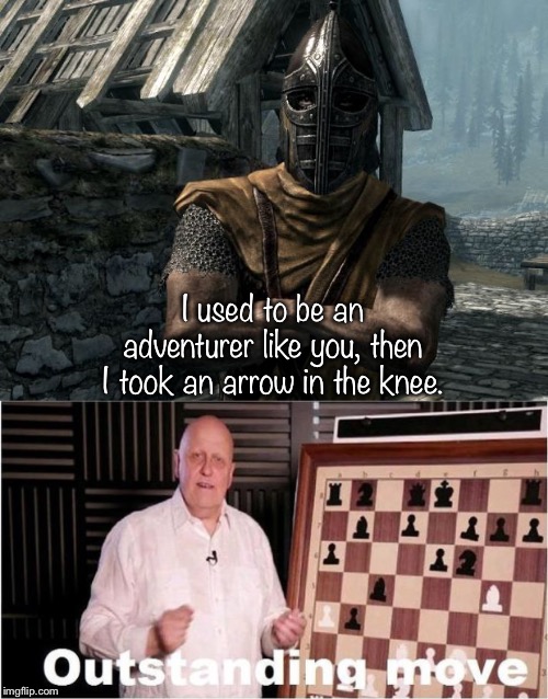 I used to be an adventurer like you, then I took an arrow in the knee. | image tagged in skyrim guards be like,outstanding move | made w/ Imgflip meme maker