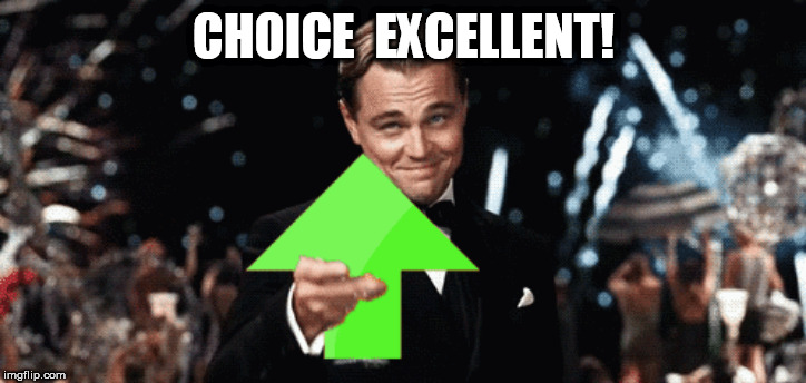 CHOICE  EXCELLENT! | made w/ Imgflip meme maker