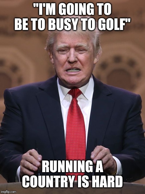 Donald Trump | "I'M GOING TO BE TO BUSY TO GOLF" RUNNING A COUNTRY IS HARD | image tagged in donald trump | made w/ Imgflip meme maker