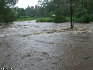 Our creek in flood - Imgflip