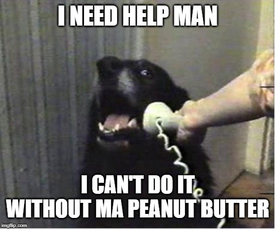 Yes this is dog | I NEED HELP MAN I CAN'T DO IT WITHOUT MA PEANUT BUTTER | image tagged in yes this is dog | made w/ Imgflip meme maker