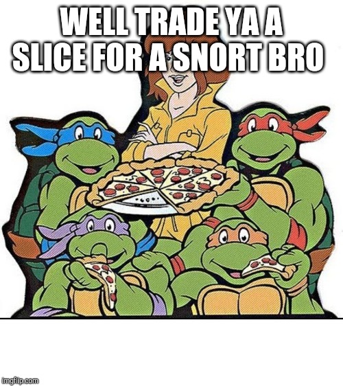 Teenage Mutant Ninja Turtles | WELL TRADE YA A SLICE FOR A SNORT BRO | image tagged in teenage mutant ninja turtles | made w/ Imgflip meme maker