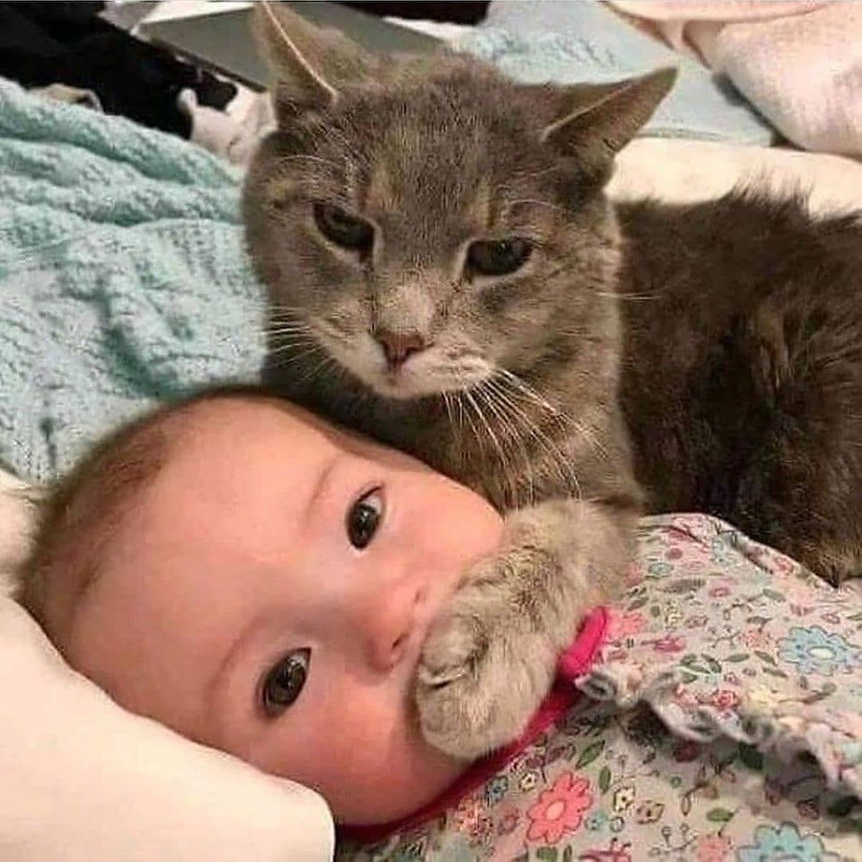 baby with cat Blank Meme Template