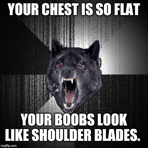 Insanity Wolf Meme | YOUR CHEST IS SO FLAT; YOUR BOOBS LOOK LIKE SHOULDER BLADES. | image tagged in memes,insanity wolf,AdviceAnimals | made w/ Imgflip meme maker