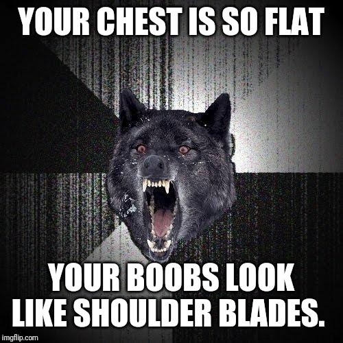 Insanity Wolf | YOUR CHEST IS SO FLAT; YOUR BOOBS LOOK LIKE SHOULDER BLADES. | image tagged in memes,insanity wolf,AdviceAnimals | made w/ Imgflip meme maker