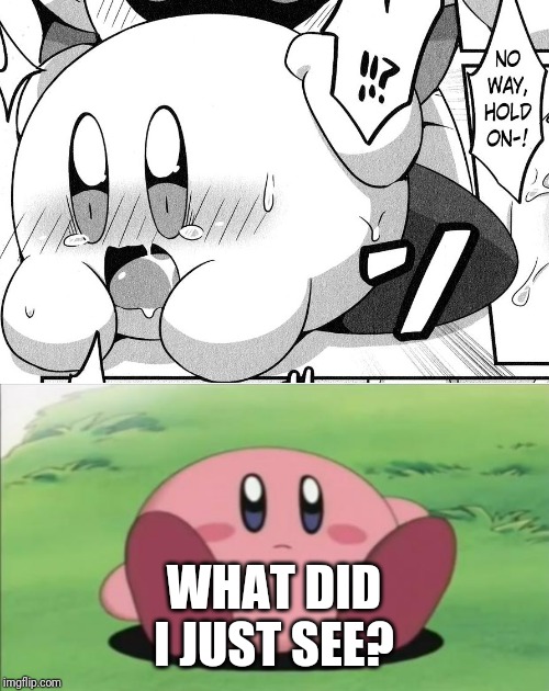 There's some template when I was searching up Kirby template and this popped up | WHAT DID I JUST SEE? | image tagged in kirby,memes | made w/ Imgflip meme maker