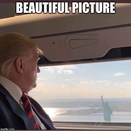 On the job | BEAUTIFUL PICTURE | image tagged in president trump flying past the statue of liberty,on the job,deep in thought,only a fool can hate a picture,someone will hate th | made w/ Imgflip meme maker
