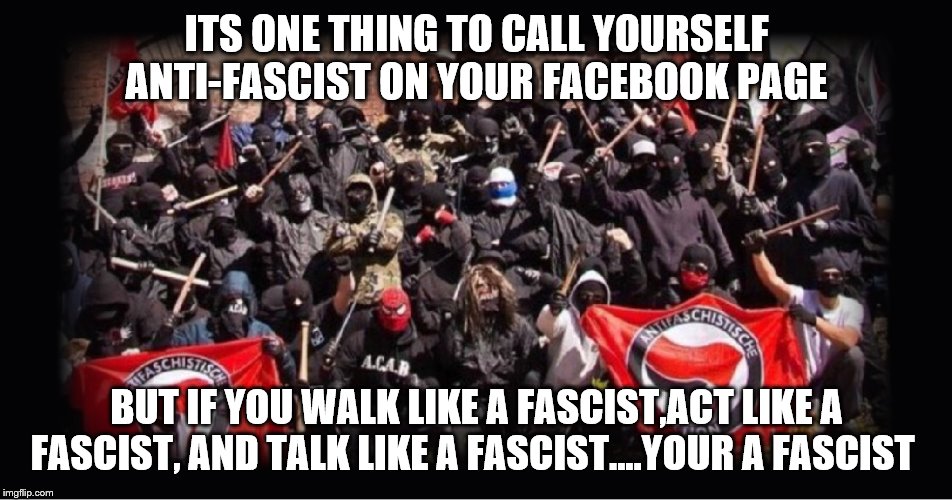 ITS ONE THING TO CALL YOURSELF ANTI-FASCIST ON YOUR FACEBOOK PAGE; BUT IF YOU WALK LIKE A FASCIST,ACT LIKE A FASCIST, AND TALK LIKE A FASCIST....YOUR A FASCIST | image tagged in democrats,democrat,the resistance | made w/ Imgflip meme maker