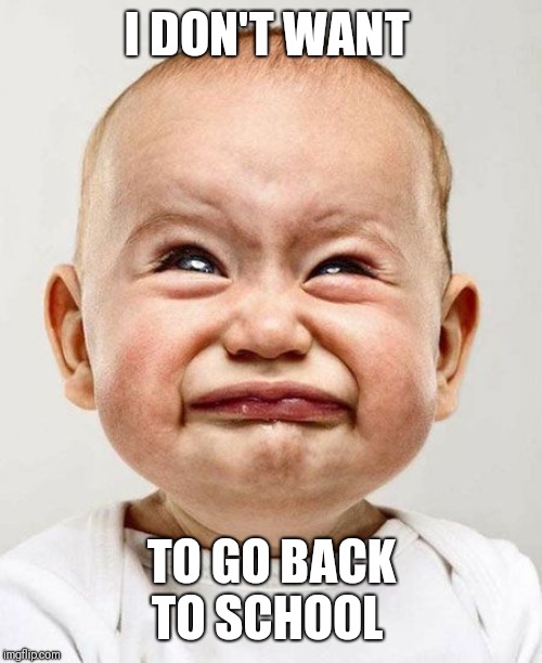 CryingBaby | I DON'T WANT; TO GO BACK TO SCHOOL | image tagged in cryingbaby | made w/ Imgflip meme maker