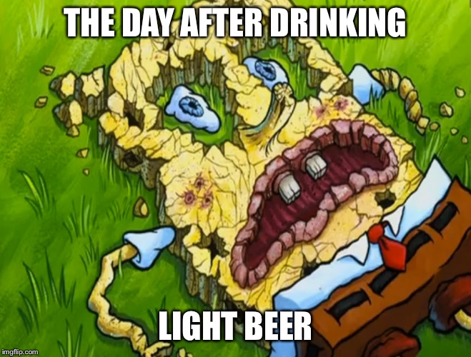 THE DAY AFTER DRINKING LIGHT BEER | made w/ Imgflip meme maker