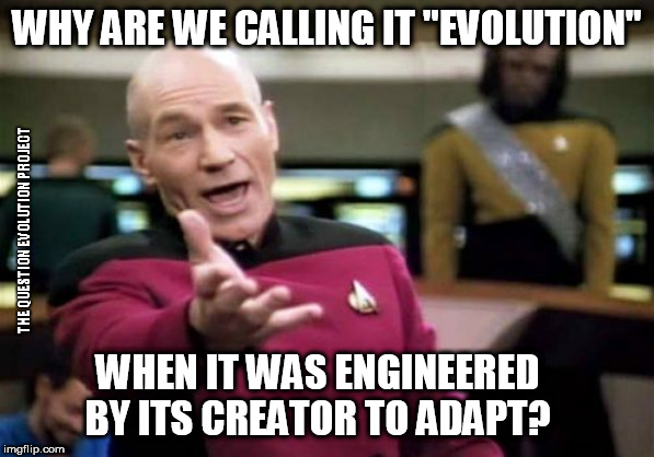 Picard Wtf | WHY ARE WE CALLING IT "EVOLUTION"; THE QUESTION EVOLUTION PROJECT; WHEN IT WAS ENGINEERED BY ITS CREATOR TO ADAPT? | image tagged in memes,picard wtf | made w/ Imgflip meme maker