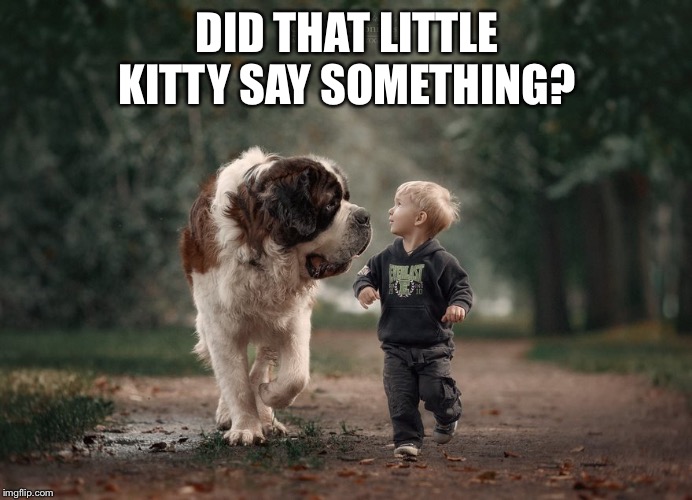 Retire like a Big Dog | DID THAT LITTLE KITTY SAY SOMETHING? | image tagged in retire like a big dog | made w/ Imgflip meme maker