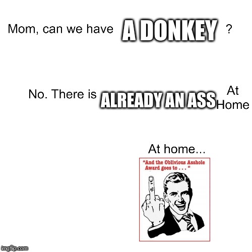 Mom can we have | A DONKEY; ALREADY AN ASS | image tagged in mom can we have | made w/ Imgflip meme maker