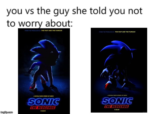 Sonic Poster In A Nutshell | image tagged in you vs the guy she told you not to worry about,sonic movie,sonic the hedgehog,movie poster,fixing sonic | made w/ Imgflip meme maker