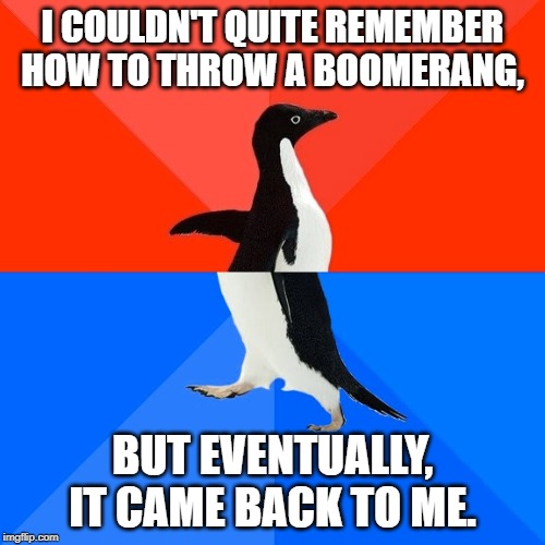 Socially Awesome Awkward Penguin | I COULDN'T QUITE REMEMBER HOW TO THROW A BOOMERANG, BUT EVENTUALLY, IT CAME BACK TO ME. | image tagged in memes,socially awesome awkward penguin | made w/ Imgflip meme maker