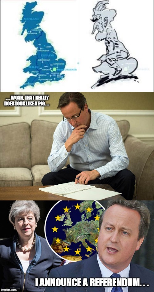 David Cameron | . . . WOAH, THAT REALLY DOES LOOK LIKE A PIG. . . I ANNOUNCE A REFERENDUM. . . | image tagged in pig,david cameron,brexit,uk,political,britain | made w/ Imgflip meme maker