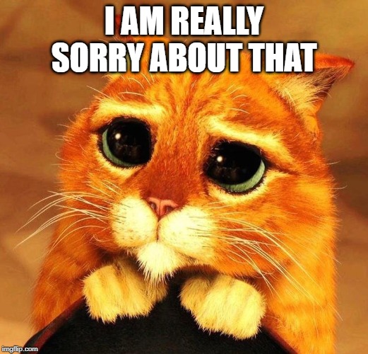 Cat excuse | I AM REALLY SORRY ABOUT THAT | image tagged in memes | made w/ Imgflip meme maker