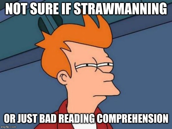 Futurama Fry | NOT SURE IF STRAWMANNING; OR JUST BAD READING COMPREHENSION | image tagged in memes,futurama fry | made w/ Imgflip meme maker