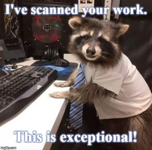I've scanned your work. This is exceptional! | image tagged in racoon | made w/ Imgflip meme maker
