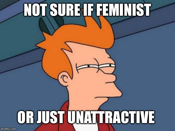 Futurama Fry Meme | NOT SURE IF FEMINIST; OR JUST UNATTRACTIVE | image tagged in memes,futurama fry | made w/ Imgflip meme maker