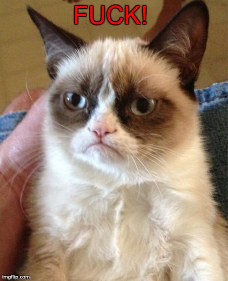 Grumpy Cat Meme | F**K! | image tagged in memes,grumpy cat | made w/ Imgflip meme maker