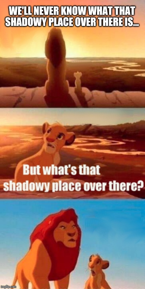 Simba Shadowy Place Meme | WE'LL NEVER KNOW WHAT THAT SHADOWY PLACE OVER THERE IS... | image tagged in memes,simba shadowy place | made w/ Imgflip meme maker
