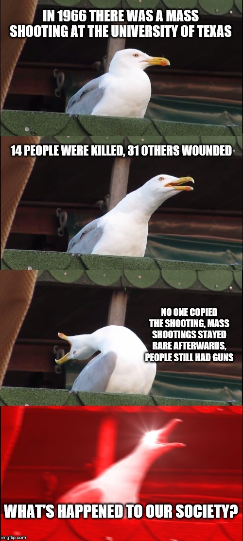 Inhaling Seagull | IN 1966 THERE WAS A MASS SHOOTING AT THE UNIVERSITY OF TEXAS; 14 PEOPLE WERE KILLED, 31 OTHERS WOUNDED; NO ONE COPIED THE SHOOTING, MASS SHOOTINGS STAYED RARE AFTERWARDS, PEOPLE STILL HAD GUNS; WHAT'S HAPPENED TO OUR SOCIETY? | image tagged in memes,inhaling seagull | made w/ Imgflip meme maker