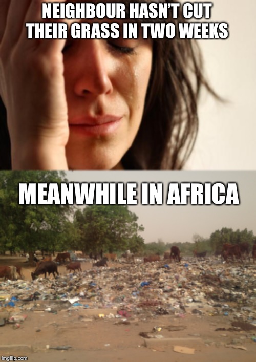 NEIGHBOUR HASN’T CUT THEIR GRASS IN TWO WEEKS; MEANWHILE IN AFRICA | image tagged in memes,first world problems | made w/ Imgflip meme maker