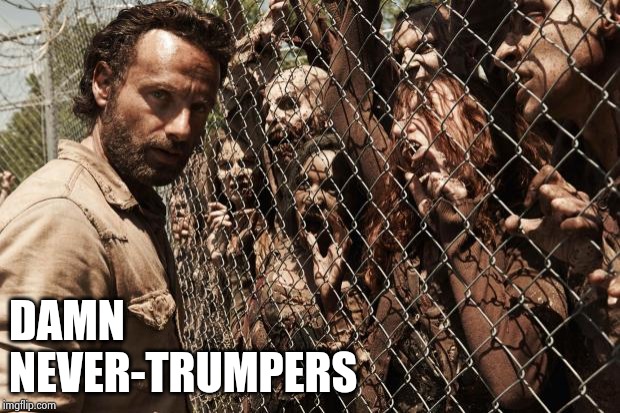 zombies | DAMN
NEVER-TRUMPERS | image tagged in zombies | made w/ Imgflip meme maker