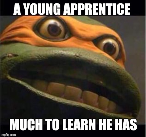 teen age mutant ninja turtle | A YOUNG APPRENTICE MUCH TO LEARN HE HAS | image tagged in teen age mutant ninja turtle | made w/ Imgflip meme maker