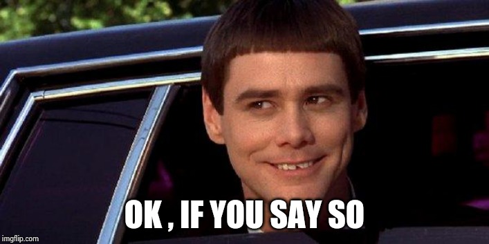 dumb and dumber | OK , IF YOU SAY SO | image tagged in dumb and dumber | made w/ Imgflip meme maker