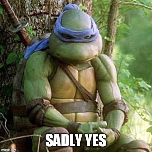 Sad Ninja Turtle | SADLY YES | image tagged in sad ninja turtle | made w/ Imgflip meme maker