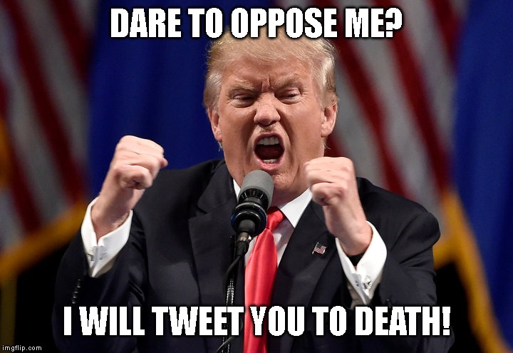 Nobody, Except Cowardly Republicans, is Afraid of this Bully | DARE TO OPPOSE ME? I WILL TWEET YOU TO DEATH! | image tagged in impeach trump,coward,traitor,liar,conman,corrupt | made w/ Imgflip meme maker