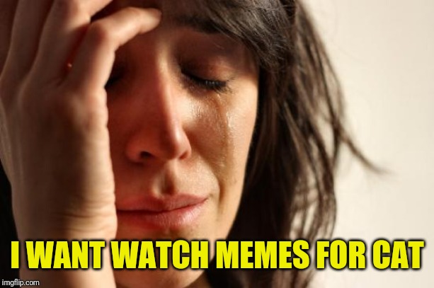 First World Problems Meme | I WANT WATCH MEMES FOR CAT | image tagged in memes,first world problems | made w/ Imgflip meme maker