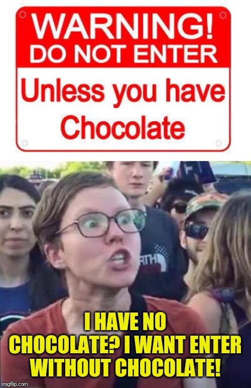 What sign did extremely write "Do not enter, if you have not chocolate"? Wtf | I HAVE NO CHOCOLATE? I WANT ENTER WITHOUT CHOCOLATE! | image tagged in wtf,memes,funny,nixieknox,chocolate,dont | made w/ Imgflip meme maker