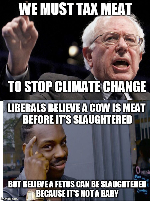 Shouldn't the cows be taxed? | WE MUST TAX MEAT; TO STOP CLIMATE CHANGE; LIBERALS BELIEVE A COW IS MEAT 
BEFORE IT'S SLAUGHTERED; BUT BELIEVE A FETUS CAN BE SLAUGHTERED
BECAUSE IT'S NOT A BABY | image tagged in bernie sanders,democrats,taxes,abortion,liberal logic,word play | made w/ Imgflip meme maker