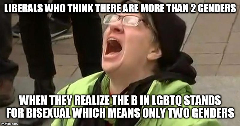 There's only 2. And you are what you are born as. You were also built to be with the opposite gender | LIBERALS WHO THINK THERE ARE MORE THAN 2 GENDERS; WHEN THEY REALIZE THE B IN LGBTQ STANDS FOR BISEXUAL WHICH MEANS ONLY TWO GENDERS | image tagged in crying liberal,stupid liberals,liberal hypocrisy,2 genders | made w/ Imgflip meme maker