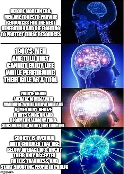 Why the West is in decline and overrun by gun violence | BEFORE MODERN ERA: MEN ARE TOOLS TO PROVIDE RESOURCES FOR THE NEXT GENERATION AND DIE FIGHTING TO PROTECT THOSE RESOURCES; 1900'S: MEN ARE TOLD THEY CANNOT ENJOY LIFE WHILE PERFORMING THEIR ROLE AS A TOOL; 2000'S: ABOVE AVERAGE IQ MEN AVOID MARRIAGE, WHILE BELOW AVERAGE IQ MEN DON'T REALIZE WHAT'S GOING ON AND BECOME AN ALIMONY FUND, SUBSIDIZED BY DADDY GOVERNMENT; SOCIETY IS OVERRUN WITH CHILDREN THAT ARE BELOW AVERAGE IQ'S, ANGRY THEIR ONLY ACCEPTED ROLE IS THANKLESS, AND START SHOOTING PEOPLE IN PUBLIC | image tagged in memes,expanding brain | made w/ Imgflip meme maker