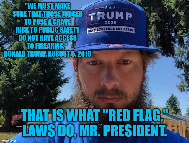 Shane Kohfeld | "WE MUST MAKE SURE THAT THOSE JUDGED TO POSE A GRAVE RISK TO PUBLIC SAFETY DO NOT HAVE ACCESS TO FIREARMS."  DONALD TRUMP, AUSUST 5, 2019; THAT IS WHAT "RED FLAG," LAWS DO, MR. PRESIDENT. | image tagged in politics | made w/ Imgflip meme maker