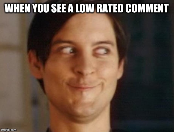 Spiderman Peter Parker | WHEN YOU SEE A LOW RATED COMMENT | image tagged in memes,spiderman peter parker | made w/ Imgflip meme maker
