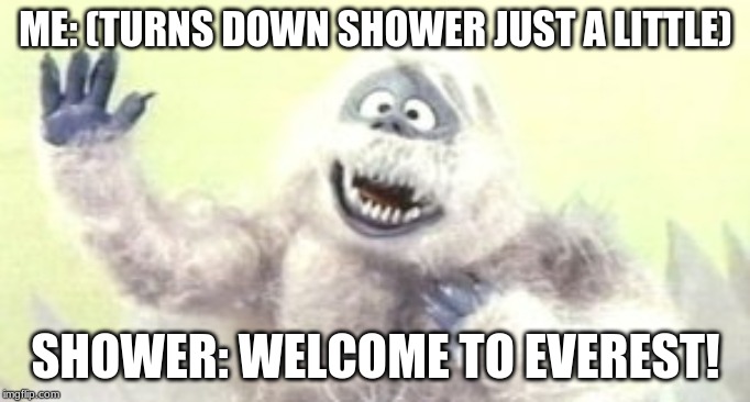 ME: (TURNS DOWN SHOWER JUST A LITTLE); SHOWER: WELCOME TO EVEREST! | image tagged in bumble the yeti | made w/ Imgflip meme maker