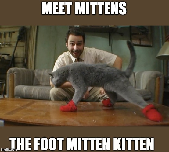 Kitten Mittens | MEET MITTENS THE FOOT MITTEN KITTEN | image tagged in kitten mittens | made w/ Imgflip meme maker