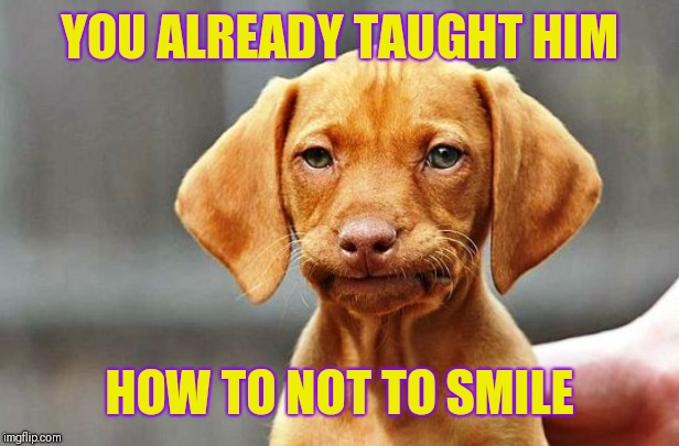 Frowning Dog | YOU ALREADY TAUGHT HIM HOW TO NOT TO SMILE | image tagged in frowning dog | made w/ Imgflip meme maker