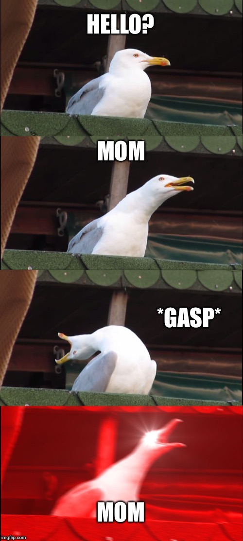 Inhaling Seagull | HELLO? MOM; *GASP*; MOM | image tagged in memes,inhaling seagull | made w/ Imgflip meme maker