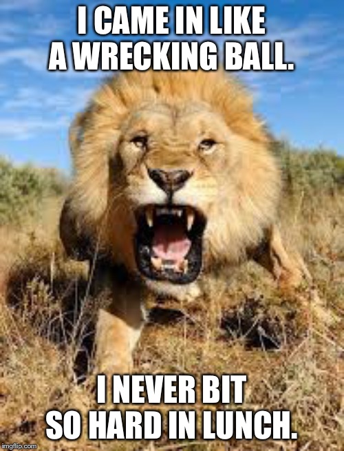 Look out. Miley Cyrus has the munchies. | I CAME IN LIKE A WRECKING BALL. I NEVER BIT SO HARD IN LUNCH. | image tagged in lion mad,memes,miley cyrus tongue,wrecking ball,song lyrics,food | made w/ Imgflip meme maker