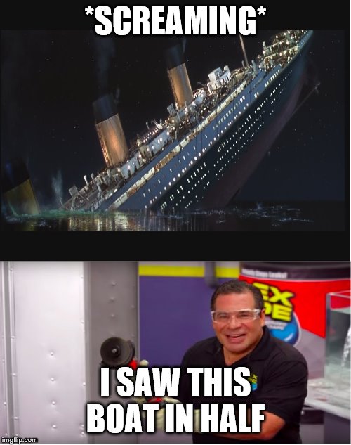 *SCREAMING*; I SAW THIS BOAT IN HALF | image tagged in funny memes | made w/ Imgflip meme maker