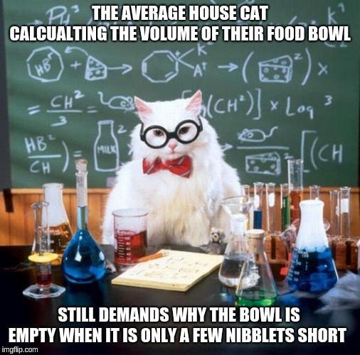 Chemistry Cat | THE AVERAGE HOUSE CAT CALCUALTING THE VOLUME OF THEIR FOOD BOWL; STILL DEMANDS WHY THE BOWL IS EMPTY WHEN IT IS ONLY A FEW NIBBLETS SHORT | image tagged in memes,chemistry cat | made w/ Imgflip meme maker
