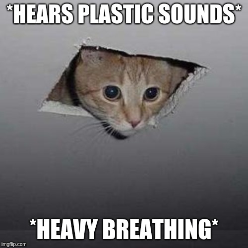 Ceiling Cat | *HEARS PLASTIC SOUNDS*; *HEAVY BREATHING* | image tagged in memes,ceiling cat | made w/ Imgflip meme maker