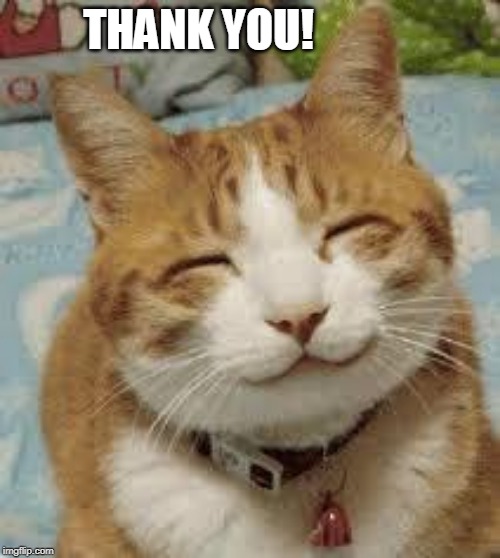 Happy cat | THANK YOU! | image tagged in happy cat | made w/ Imgflip meme maker